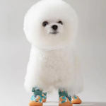 Dog Shoes Factory - Breathable Summer for Small Breeds Anti-Slip Paw Protectors Teddy Bichon