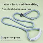 Dog Training Leash Manufacturer - Small Large Grade P Chain Explosion-Proof Solid Thickened