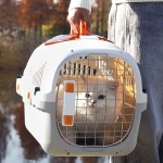 Portable Cat Carrier Supplier - New Design Removable Cleaning Airplane Transport Pets Cage