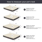 Designer Dog Bed Manufacturer - Custom Jambo Square Indoor