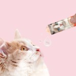宠物眼镜厂家-盟盟格猫太阳镜紫外线防护