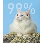 豆腐猫砂工厂-快速发货快吸水