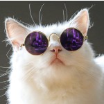 猫活板门工厂-盟盟格安全锁ABS塑料