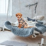 宠物狗服装工厂-普达供应优惠价韩版时尚