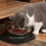 陶瓷猫碗厂家-普达新款斜口高脚
