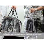 小型狗携带箱供应商-热销软面折叠
