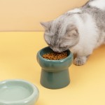 猫喂食碗工厂-普达环保15度倾斜