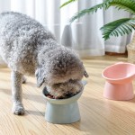 宠物双碗厂家-最佳豪华便携防溢