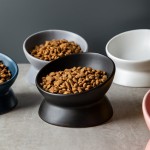 陶瓷宠物碗供应商-普达支架喂食护颈