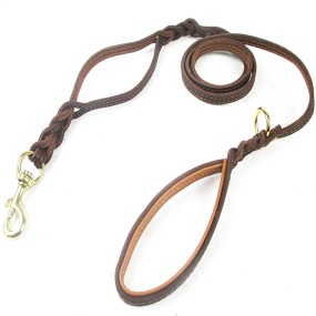 Dog Training Lead Supplier - Gradient Recycled Swivel Hook
