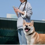 滑链狗牵引绳供应商-普达电商批发反光