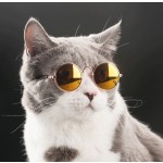 猫活板门工厂-盟盟格安全锁ABS塑料