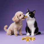 OEM营养钙片猫狗深海鱼软骨钙关节护理补充剂保健品源头工厂