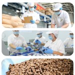 宠物消化助剂生产厂家-狗猫日常消化助剂咀嚼含嗜酸乳杆菌蛋白酶宠物保健