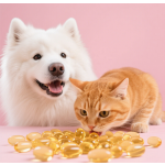 狗补充剂源头工厂-优质有机狗粮补充剂全生命周期健康支持100%天然成分