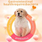 OEM私有标签狗猫益生菌一口大小咀嚼定制重量菌株宠物保健补充剂生产