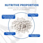 Pet Allergy Supplement Supplier - Dog Cat Allergy Relief Probiotic Soft Chews with Quercetin