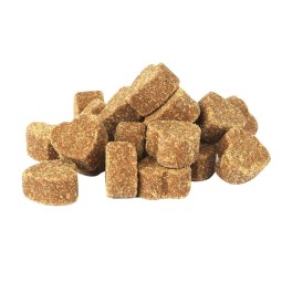 宠物补充剂源头工厂-OEM软嚼颗粒猫狗鱼应用狗零食瓶装宠物保健品