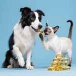 宠物维生素生产厂家-高端豪华多维素补充剂狗猫优质宠物保健营养