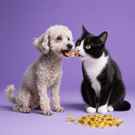 狗补充剂源头工厂-优质有机狗粮补充剂全生命周期健康支持100%天然成分