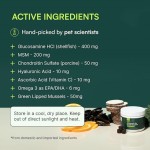 Pet Joint Chews Manufacturer - OEM Private Label Dog Joint Soft Chews Hip Joint Support Pain Relief