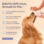 Pet Joint Chews Factory - Wholesale Factory Hip Joint Soft Chews Support Mobility Dogs Cats Sample
