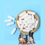 Pet Lactoferrin Supplement Supplier - Factory Professional Custom Brand Natural Lactoferrin Capsules