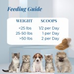 Pet Cat Multivitamin Supplier - Hanyun Wholesale Cat Multivitamin Powder Skin Coat Health Digestion