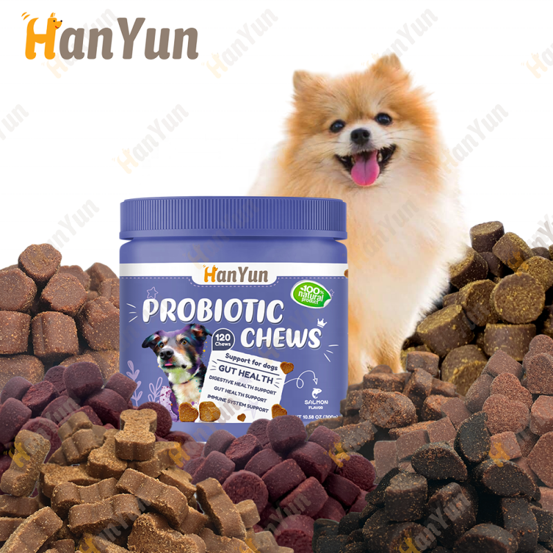 Pet Probiotic Supplier - Hanyun Custom Private Label Probiotic Chew Supplements Pet Health Care