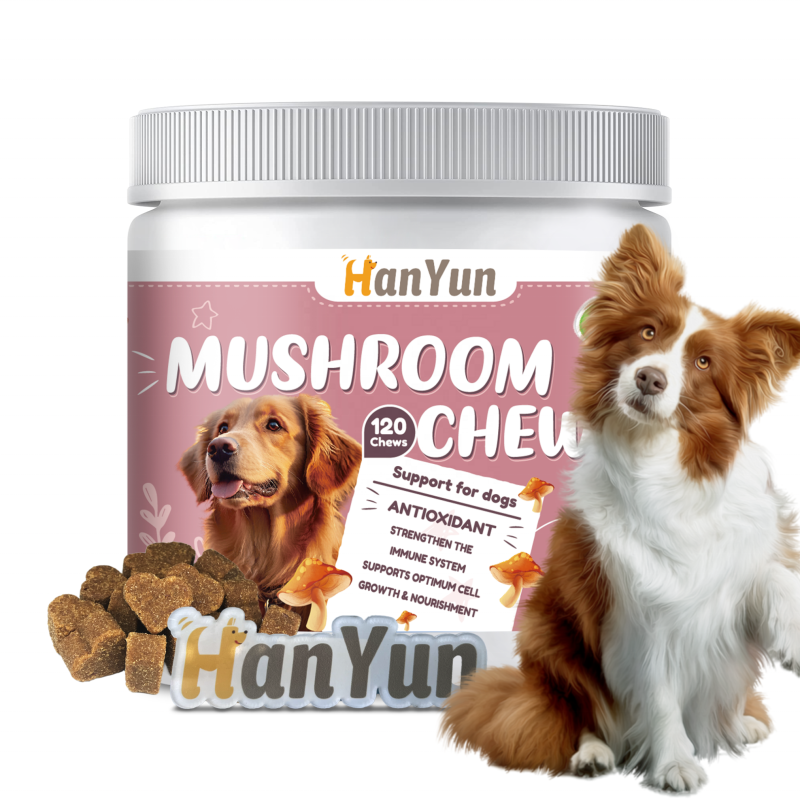 Pet Mushroom Chews Factory - OEM ODM Mushroom Soft Chews Enhance Immune Functions Virus Fight