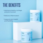 Pet Joint Chews Supplier - Wholesale Factory Hip Joint Soft Chews Support Mobility Free Sample