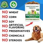 Pet Digestive Supplement Manufacturer - Probiotic Soft Chews Supplement Sensitive Digestive Pumpkin