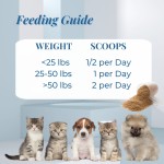 Pet Cognition Powder Manufacturer - Factory Price Cognition Powder for Dogs Cats Brain Health