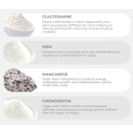 Pet Joint Supplement Factory - Factory Price Joint Chewable Tablets with Glucosamine Chondroitin