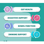 Pet Probiotics Supplier - OEM ODM Probiotics for Dogs 120 Chewable Tablets with Honey Pumpkin