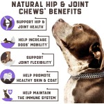 Pet Hip Joint Factory - Hip Joint for Pet Dog Treats Glucosamine MSM Chondroitin Soft Chews