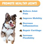 Pet Joint Supplement Factory - Hanyun Free Sample Hip Joint Supplement Anti Inflammatory Support