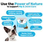 Pet Hip Joint Supplier - Private Label Hip Joint Treats Chews Flexible Mobility Glucosamine MSM