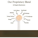 Pet Mushroom Powder Factory - OEM ODM Turkey Tail Mushroom Powder with Organic Lions Mane Shiitake