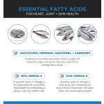 Pet Salmon Oil Factory - Wild Alaskan Salmon Fish Liquid Supplement Joint Heart Immune Skin