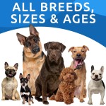 Pet Pumpkin Powder Supplier - Pumpkin Dogs Powdered Fiber Supplement Stool Softener Diarrhea