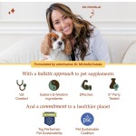 Pet Probiotic Powder Supplier - Wholesale Private Label Probiotics Powder for Dogs Cats Gut Immune