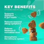 Pet Probiotic Chews Factory - OEM Factory Natural Probiotics Soft Chews Digestive Gut Health