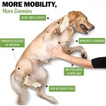 Pet Joint Chews Manufacturer - Wholesale Price Hip Joint Soft Chews Glucosamine Mobility Joint Lubrification