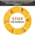 Pet Omega Supplement Supplier - Hanyun Wild Alaskan Salmon Oil with EPA DHA Skin Moisture Immune