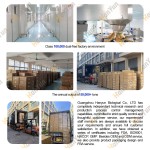 Pet Calming Chews Supplier - Hanyun OEM ODM Anxiety Relief Soft Chews Custom Flavor Dog Supplement