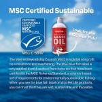 Pet Fish Oil Manufacturer - Fish Oil Wild Alaskan Salmon Oil EPA DHA Liquid Skin Coat Joints