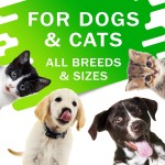 Pet Cat Multivitamin Supplier - HANYUN 10 in 1 Cat Multivitamin Glucosamine Essential Supplements