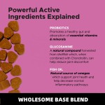 Pet Organic Supplement Factory - OEM 10-in-1 Organic Dog Supplements Turkey-Flavored Soft Chews