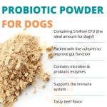 Pet Probiotic Powder Factory - Wholesale Private Label 200g Probiotic Powder Digestive Health Beef